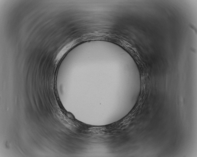 X0000103930051200809191133