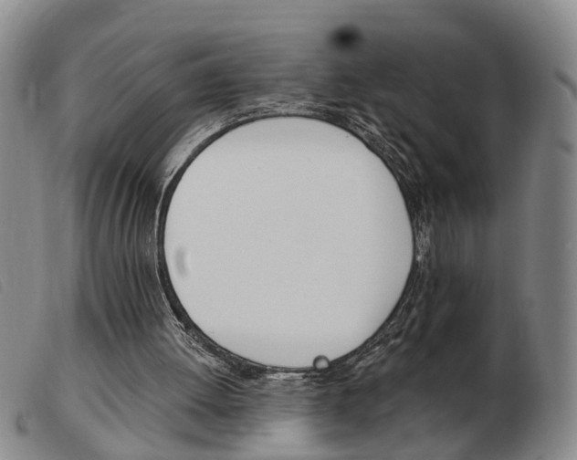 X0000103930052200809191133