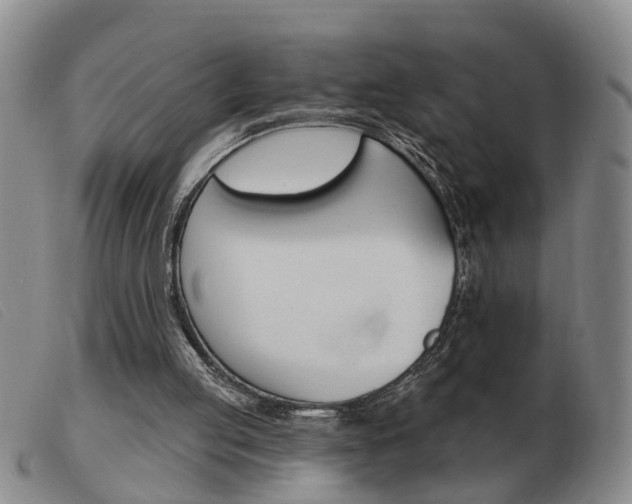 X0000103930053200809191133