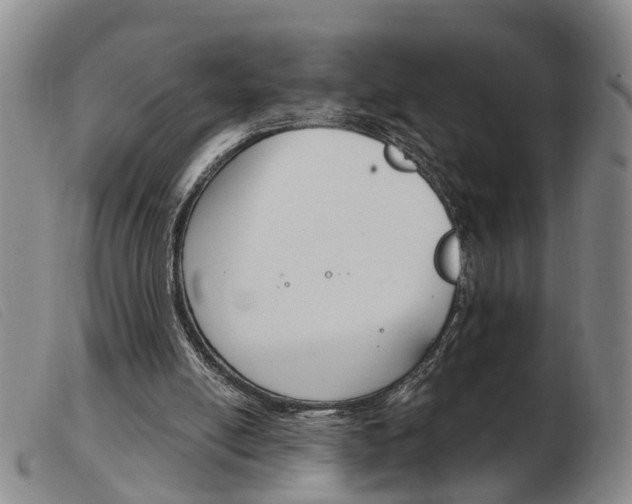 X0000103930054200809191133