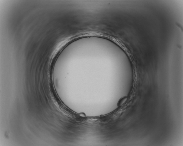 X0000103930055200809191133