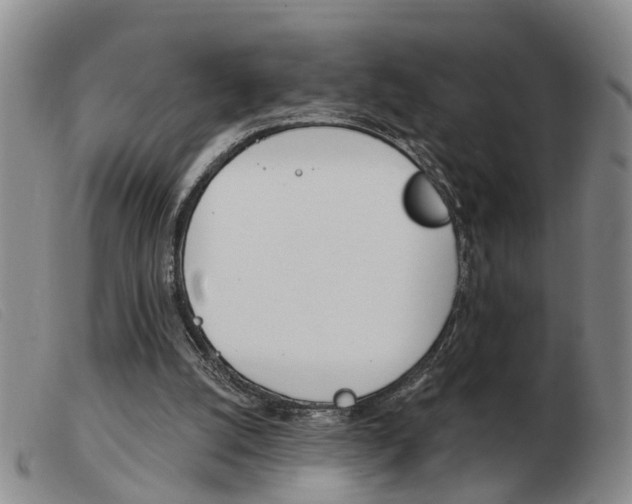 X0000103930056200809191133