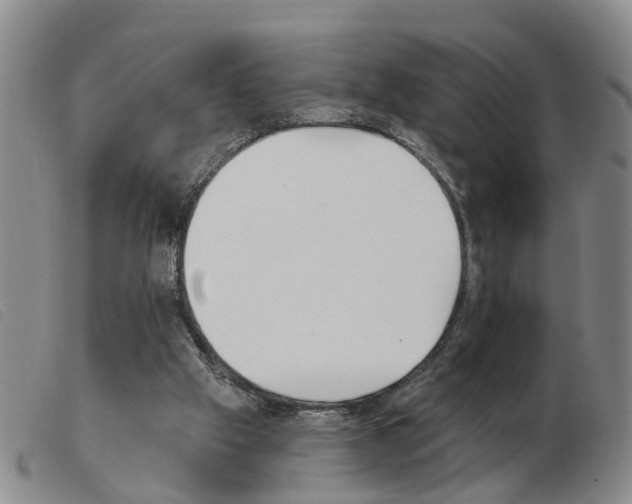 X0000103930057200809191133