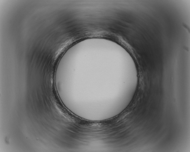 X0000103930059200809191134