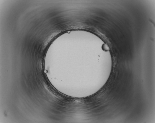 X0000103930060200809191134