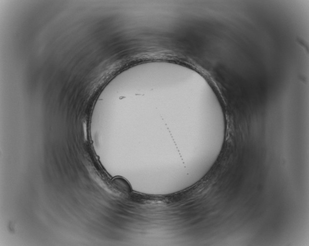 X0000103930061200809191134
