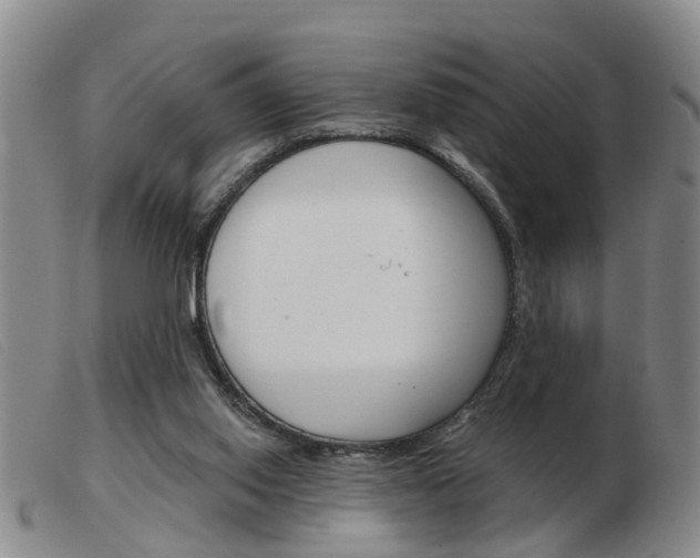 X0000103930062200809191134