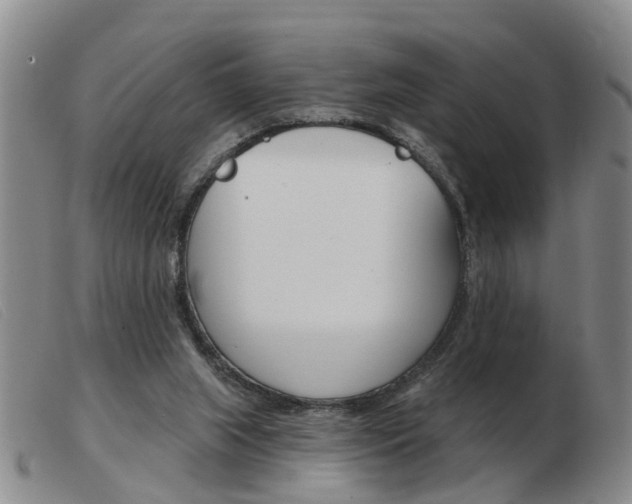 X0000103930063200809191134