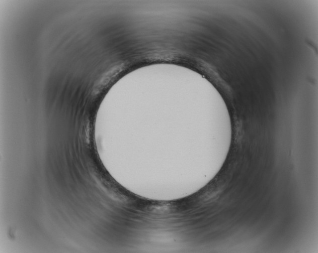 X0000103930068200809191134