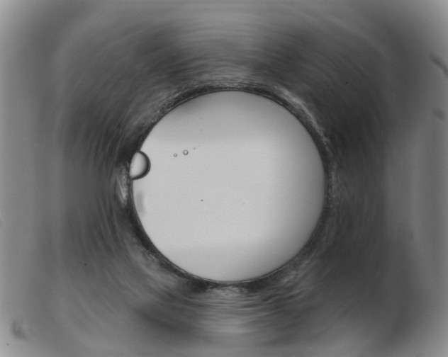 X0000103930069200809191134