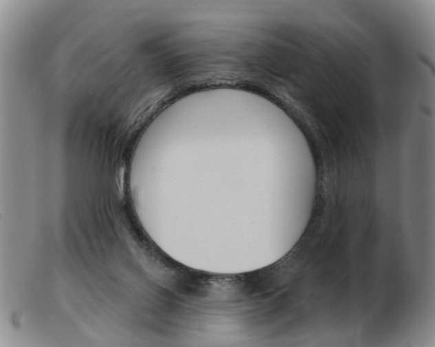 X0000103930070200809191134