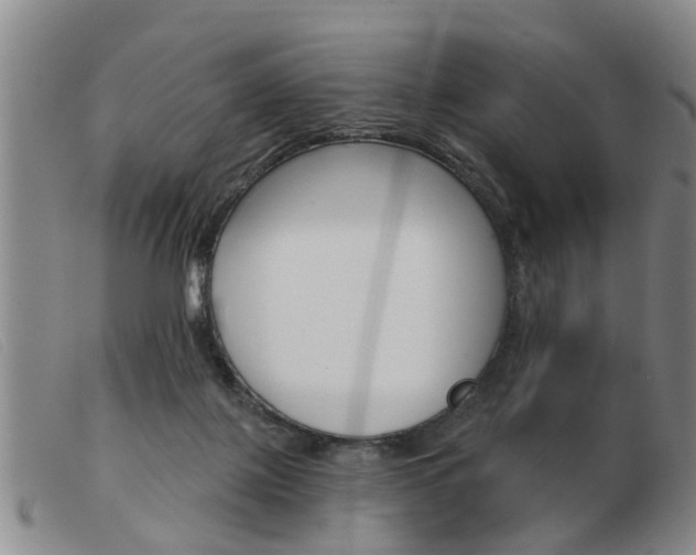 X0000103930075200809191134