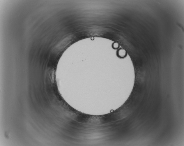 X0000103930076200809191134