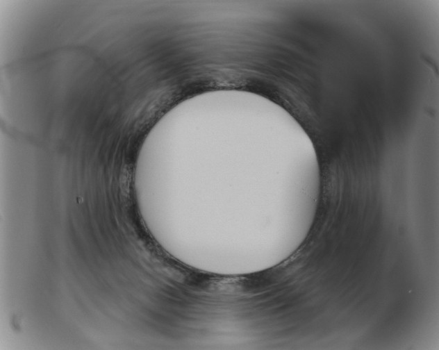 X0000103930078200809191134