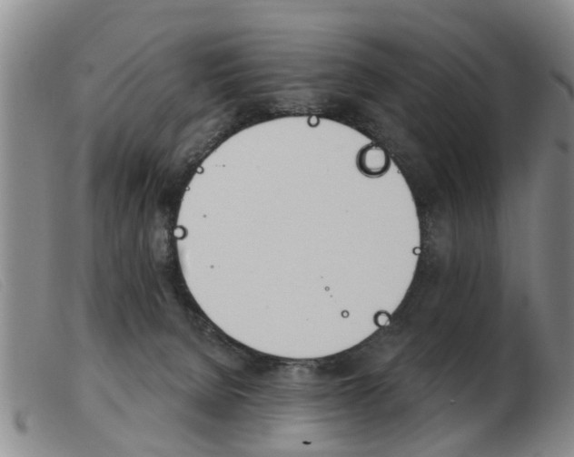 X0000103930080200809191134