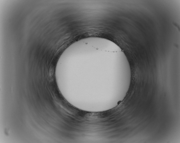 X0000103930082200809191134