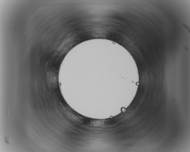 X0000103930084200809191134