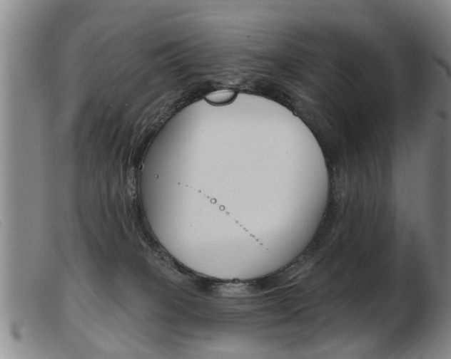 X0000103930085200809191134