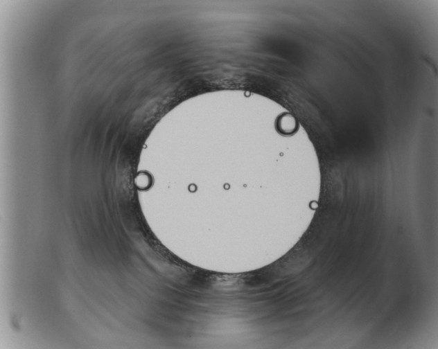 X0000103930088200809191134