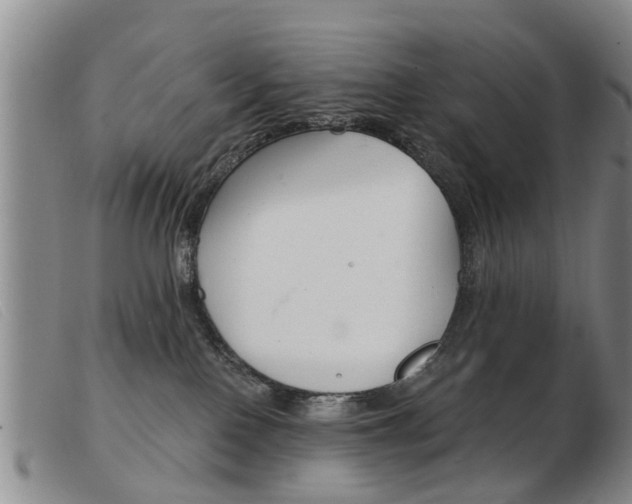 X0000103930090200809191134