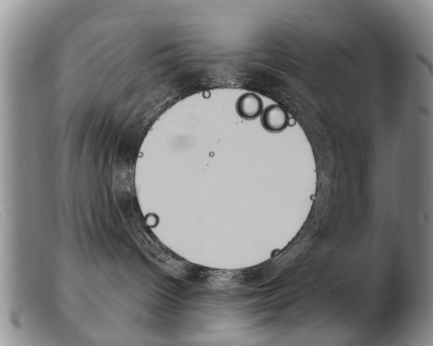 X0000103930096200809191134