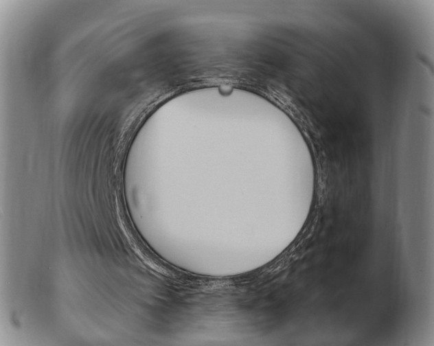 X0000103930097200809191133