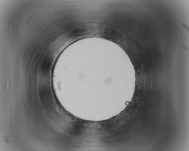 X0000103930100200809191133