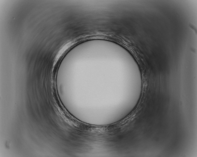 X0000103930102200809191133