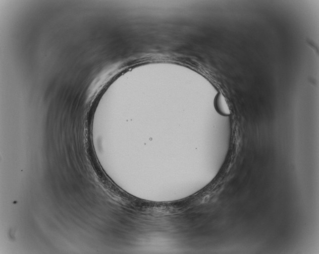 X0000103930103200809191133
