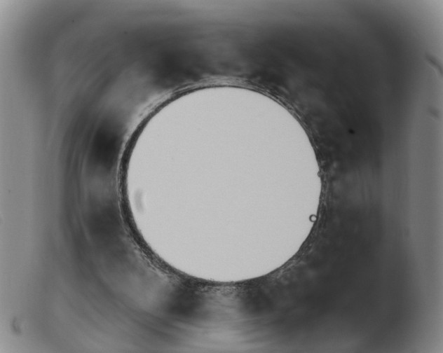 X0000103930104200809191133