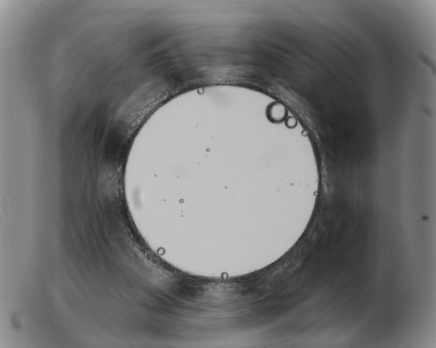 X0000103930105200809191133