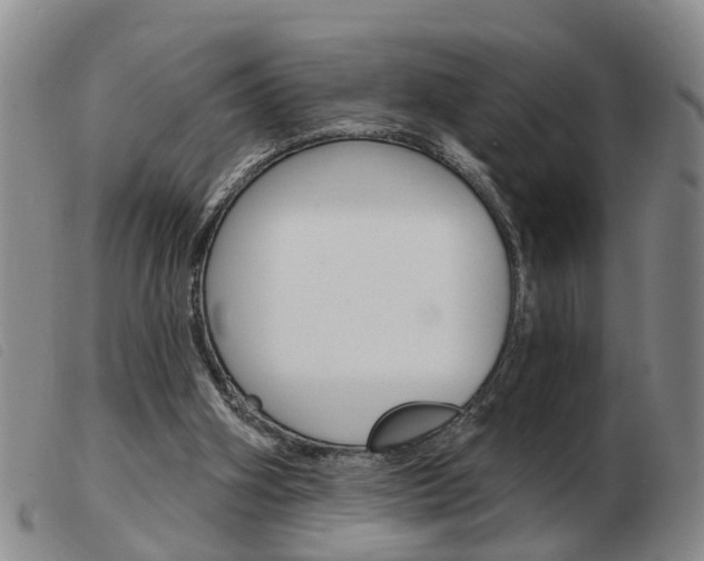 X0000103930106200809191133