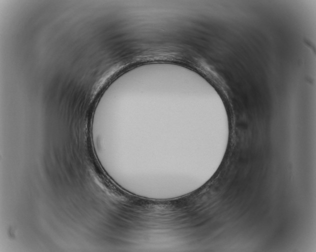 X0000103930107200809191133