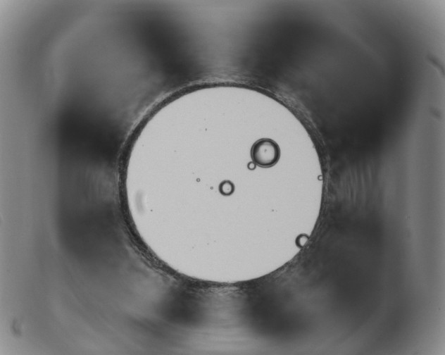 X0000103930108200809191133