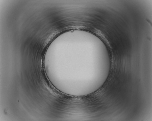 X0000103930110200809191133