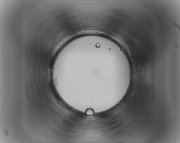 X0000103930111200809191133