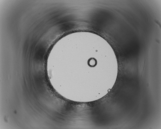 X0000103930112200809191133