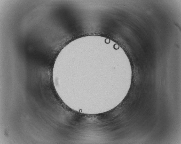 X0000103930113200809191133