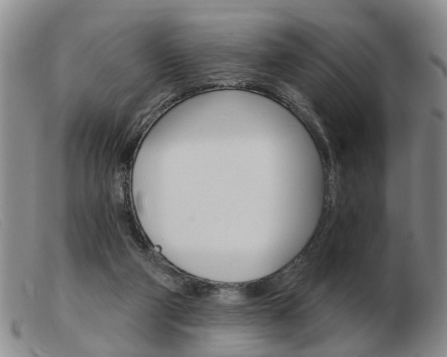 X0000103930114200809191133