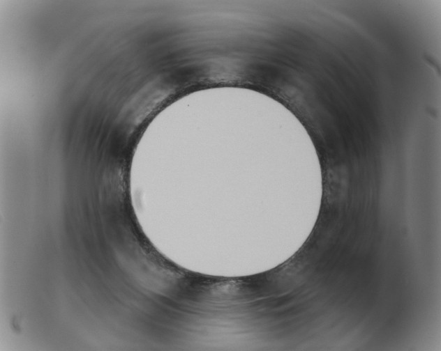 X0000103930116200809191133