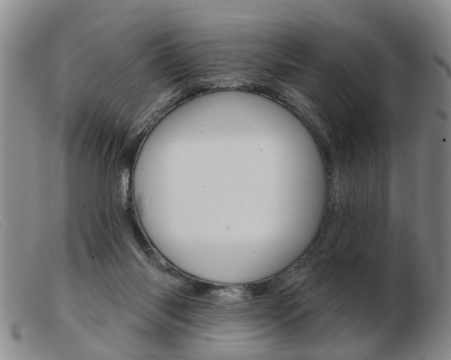 X0000103930118200809191133