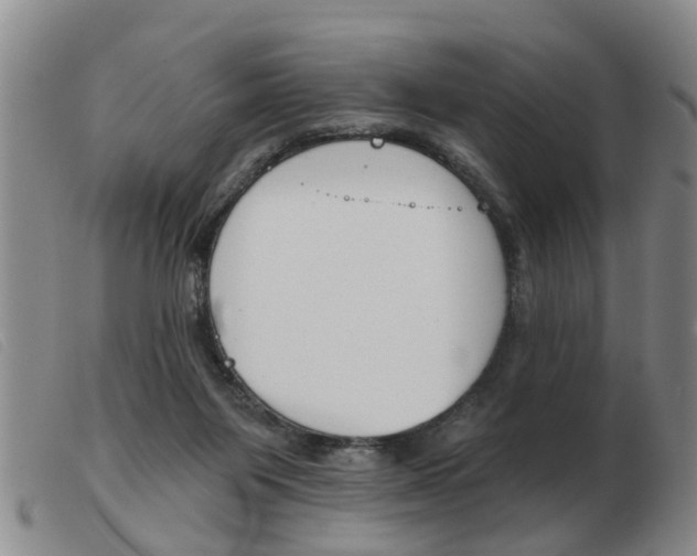 X0000103930119200809191133