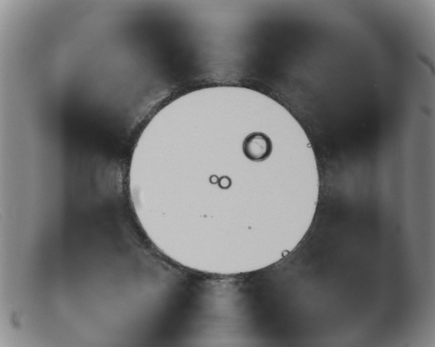 X0000103930120200809191133