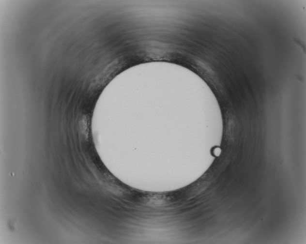 X0000103930121200809191133