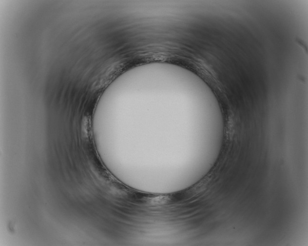 X0000103930122200809191133