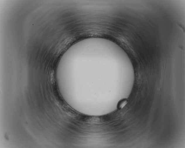 X0000103930123200809191133