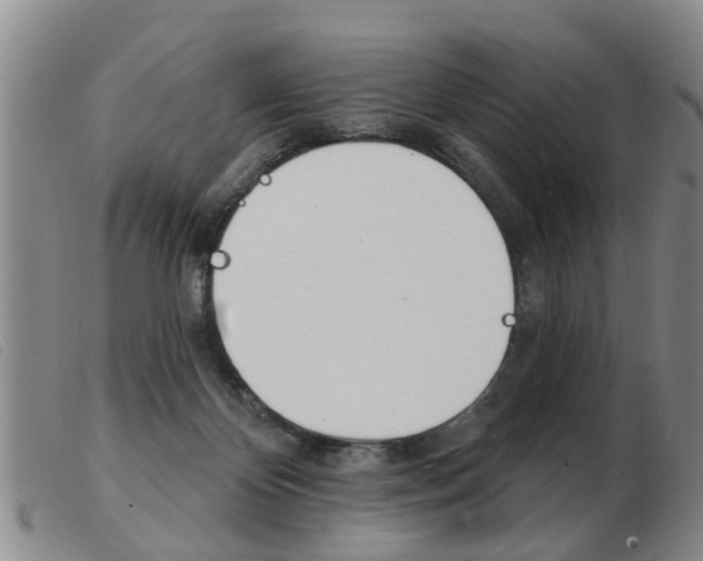 X0000103930124200809191133