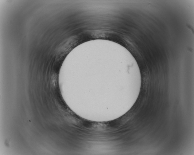 X0000103930125200809191133