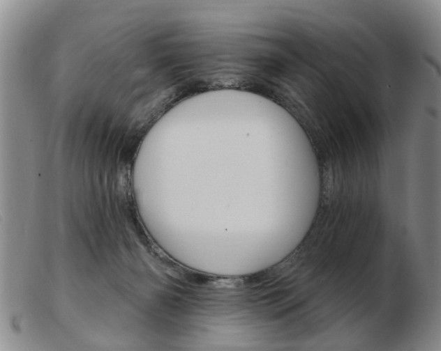X0000103930126200809191133