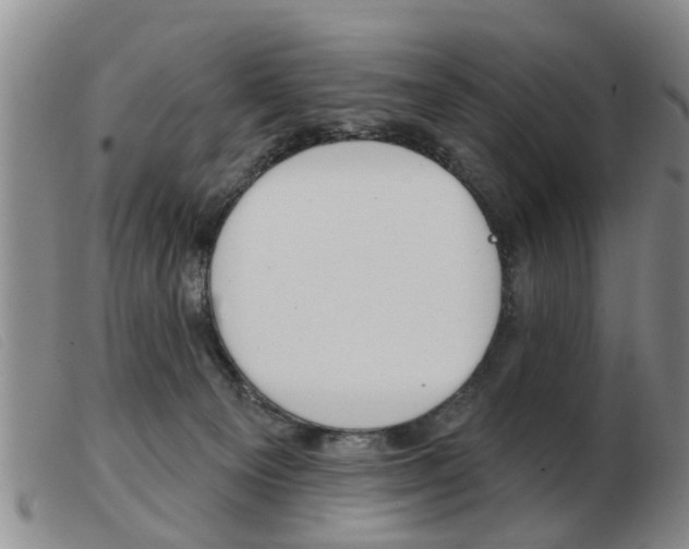 X0000103930129200809191133